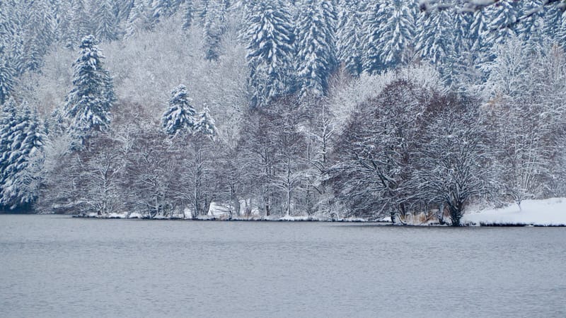 Fin novembre, premières neiges dans les Vosges