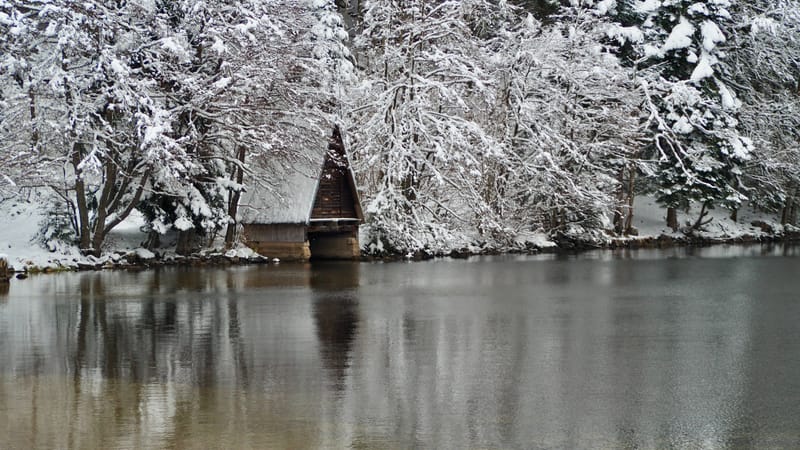 Fin novembre, premières neiges dans les Vosges