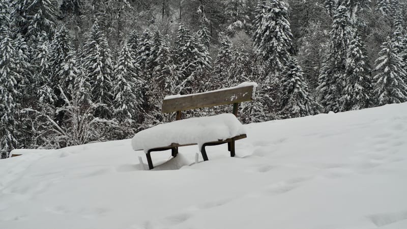 Fin novembre, premières neiges dans les Vosges
