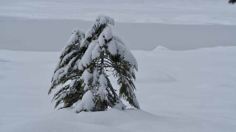 Il a neigé sur le lac de Retournemer et le lac de Lispach