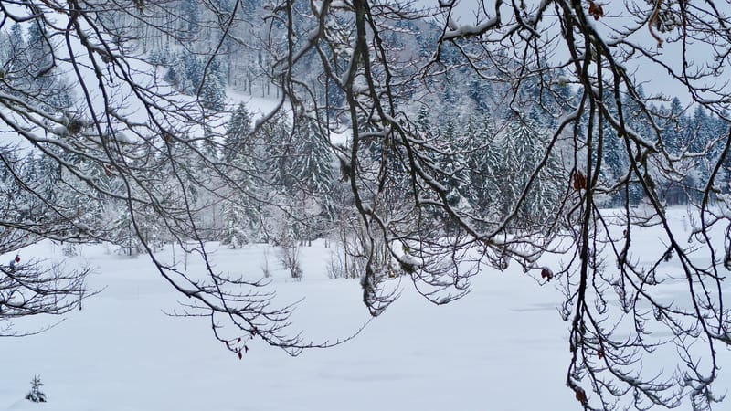 Il a neigé sur le lac de Retournemer et le lac de Lispach