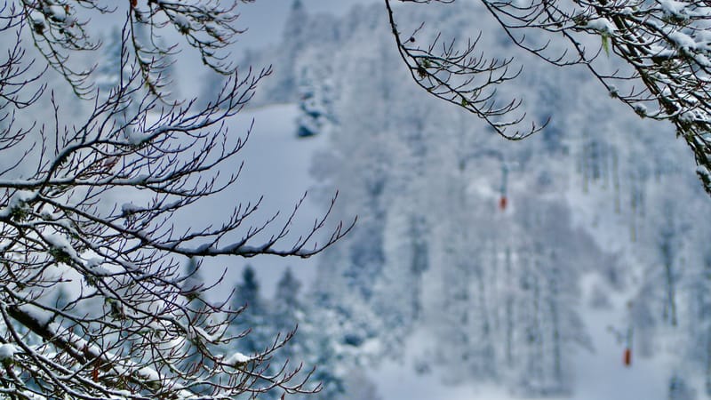 Il a neigé sur le lac de Retournemer et le lac de Lispach