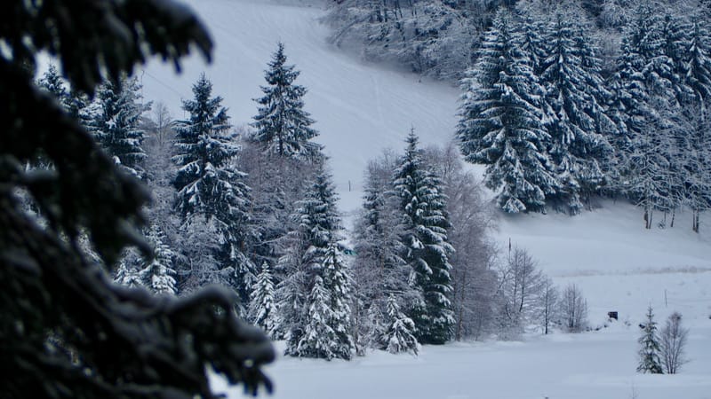 Il a neigé sur le lac de Retournemer et le lac de Lispach
