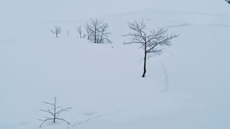 Il a neigé sur le lac de Retournemer et le lac de Lispach