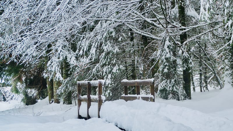 Il a neigé sur le lac de Retournemer et le lac de Lispach
