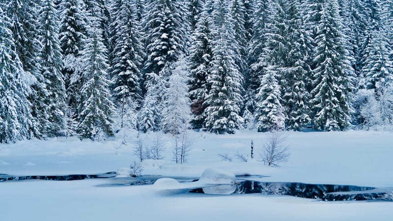 Il a neigé sur le lac de Retournemer et le lac de Lispach