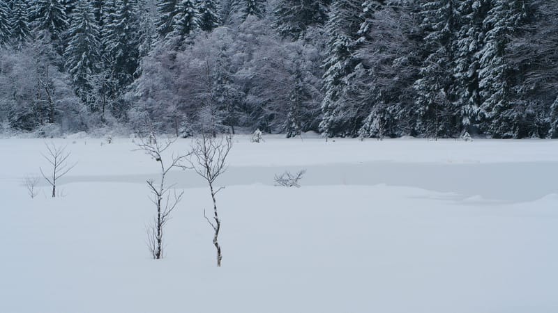 Il a neigé sur le lac de Retournemer et le lac de Lispach
