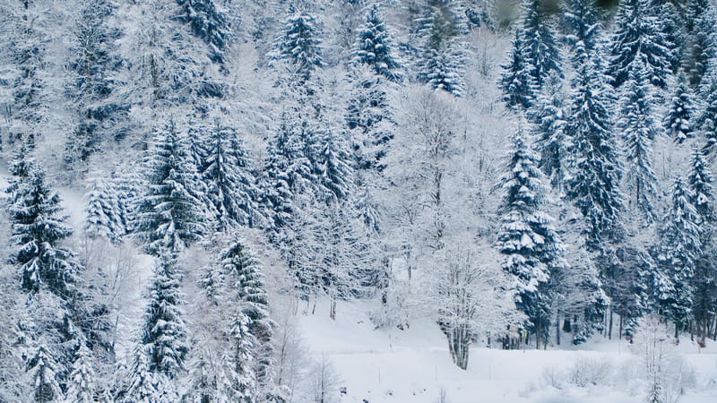Il a neigé sur le lac de Retournemer et le lac de Lispach