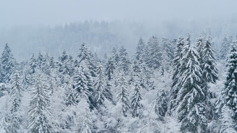Il a neigé sur le lac de Retournemer et le lac de Lispach