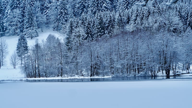 Il a neigé sur le lac de Retournemer et le lac de Lispach