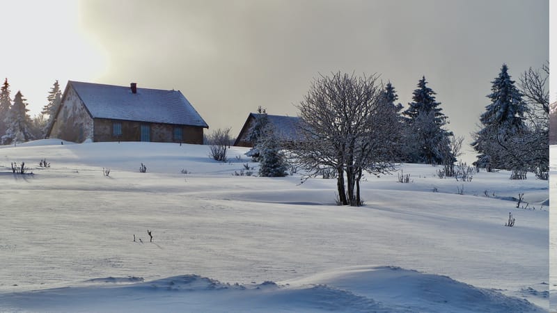 Paradis blanc dans les Vosges