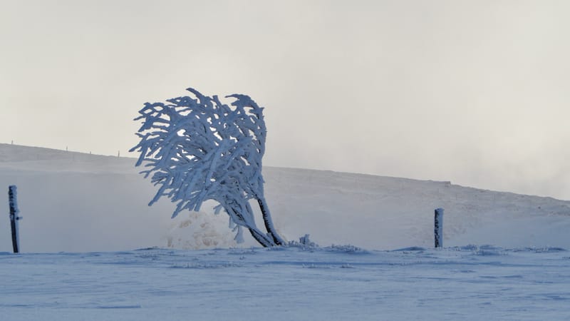 Paradis blanc dans les Vosges