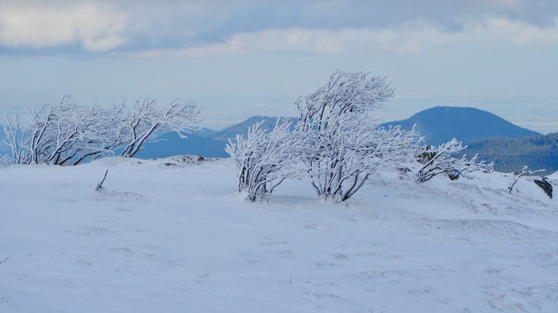 Paradis blanc dans les Vosges