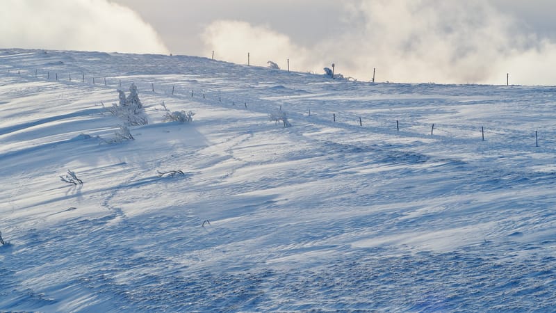 Paradis blanc dans les Vosges