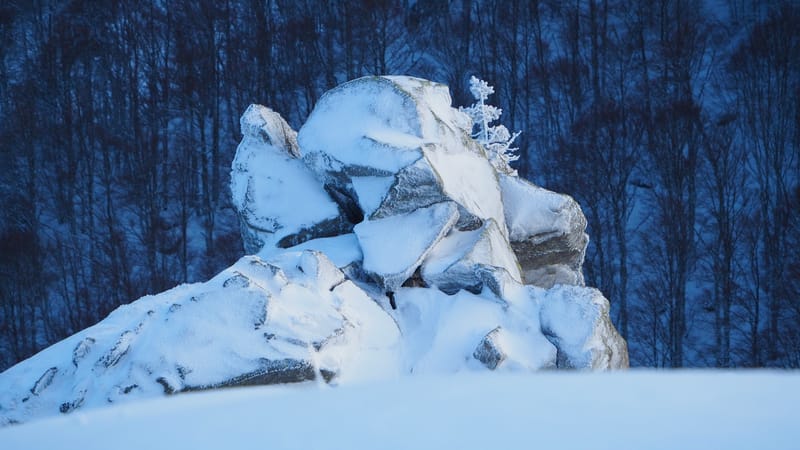 Paradis blanc dans les Vosges