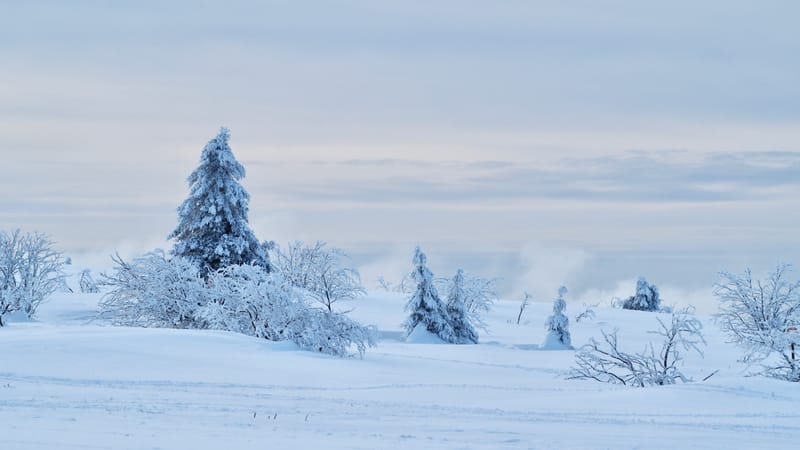 Paradis blanc dans les Vosges