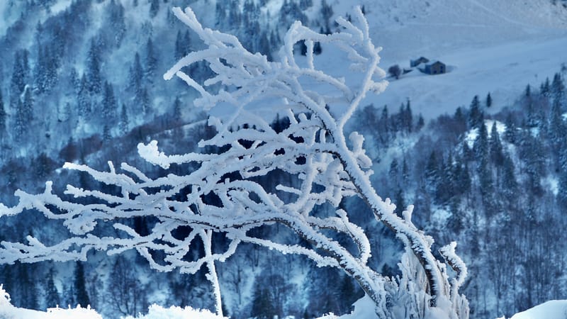 Paradis blanc dans les Vosges