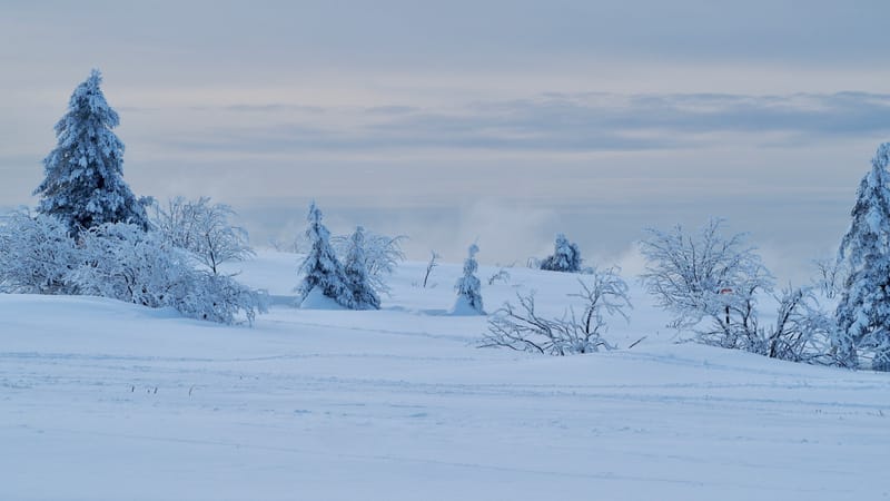 Paradis blanc dans les Vosges