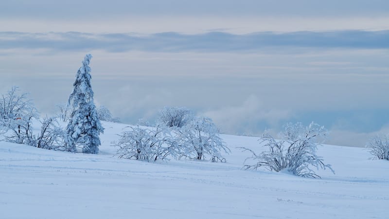 Paradis blanc dans les Vosges
