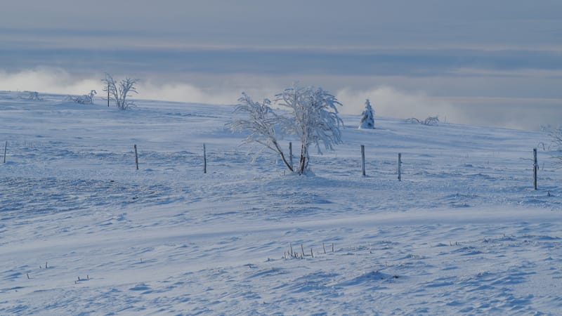 Paradis blanc dans les Vosges