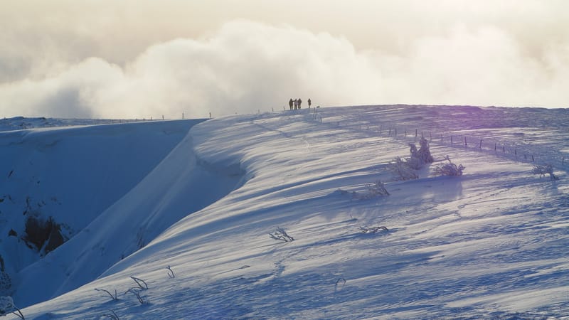 Paradis blanc dans les Vosges