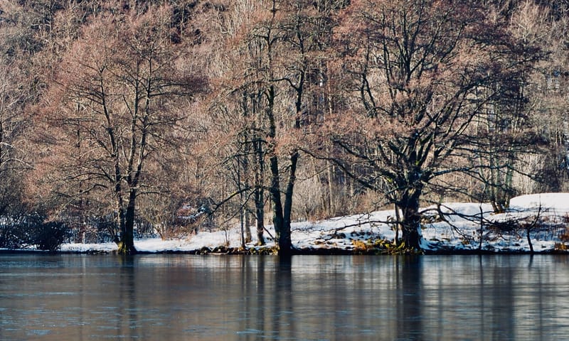 Les couleurs de l'hiver au lac de Longemer