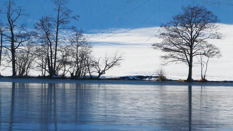 Les couleurs de l'hiver au lac de Longemer