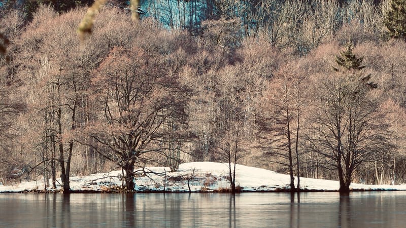 Les couleurs de l'hiver au lac de Longemer
