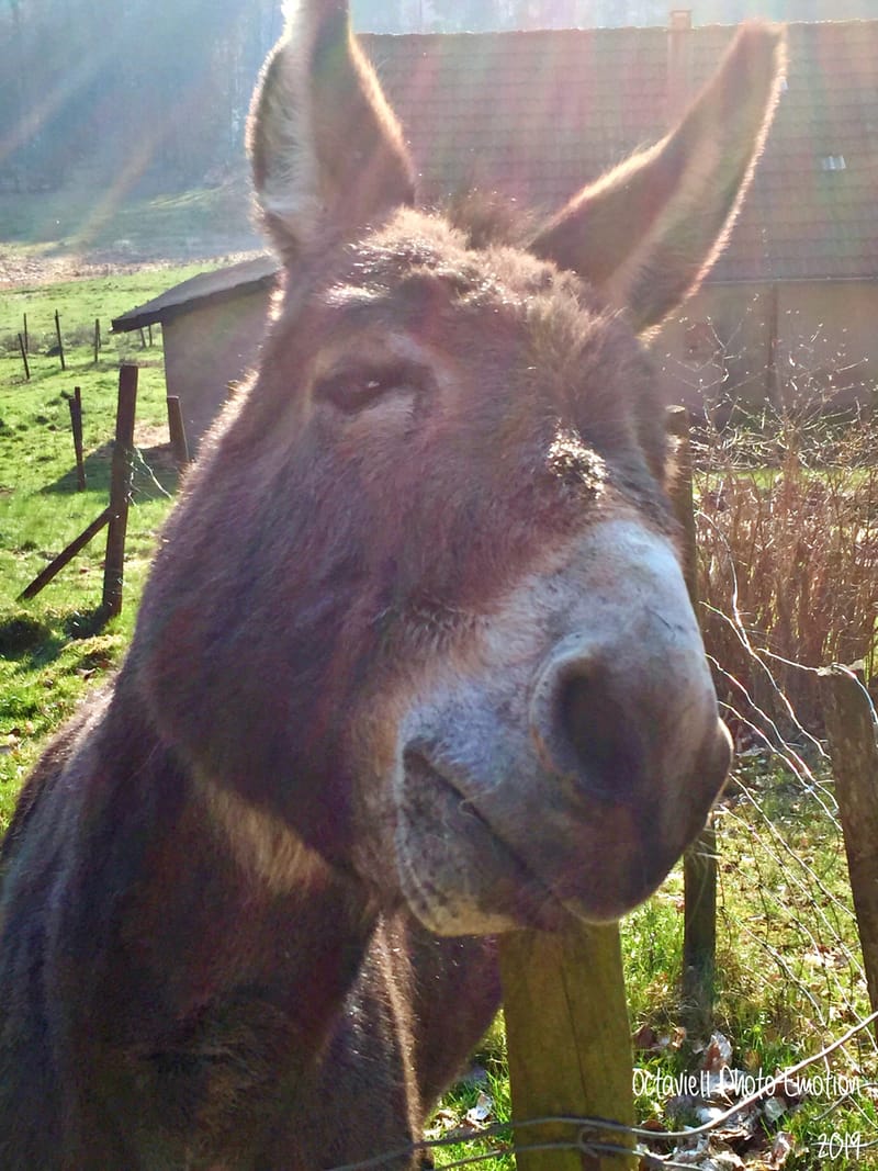 Les plus belles rencontres sont toujours inattendues