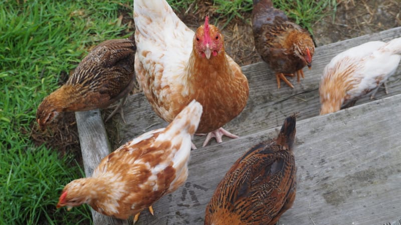 Les plus belles rencontres sont toujours inattendues