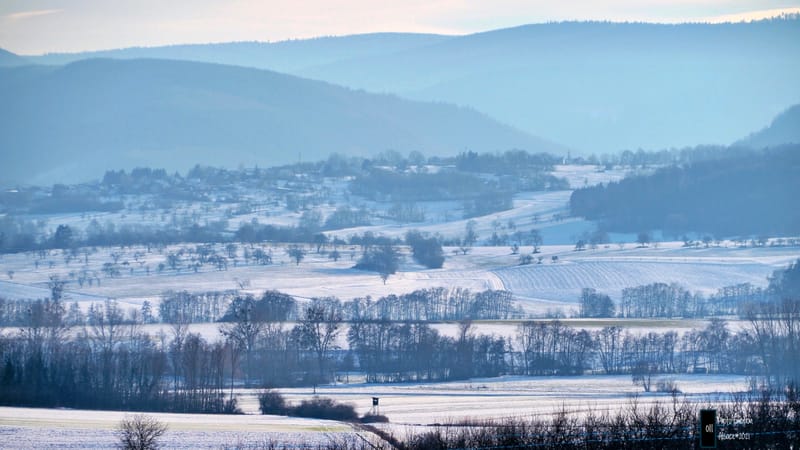 Silence et sapins blancs dans les Vosges