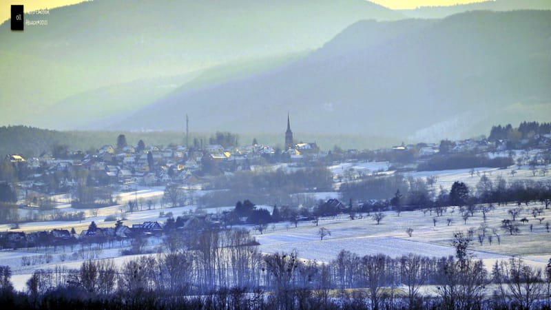 Silence et sapins blancs dans les Vosges