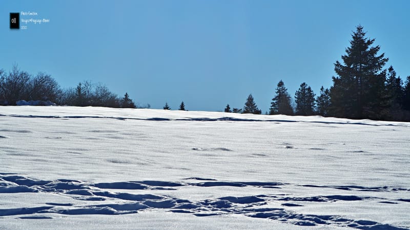 Paysages d'hiver dans les Vosges