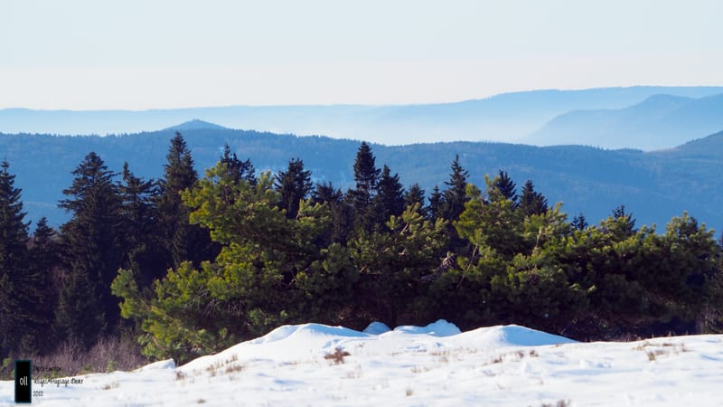 Paysages d'hiver dans les Vosges