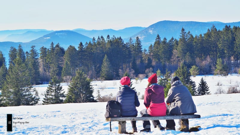 Paysages d'hiver dans les Vosges