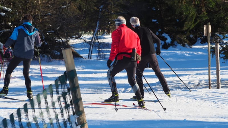 Paysages d'hiver dans les Vosges
