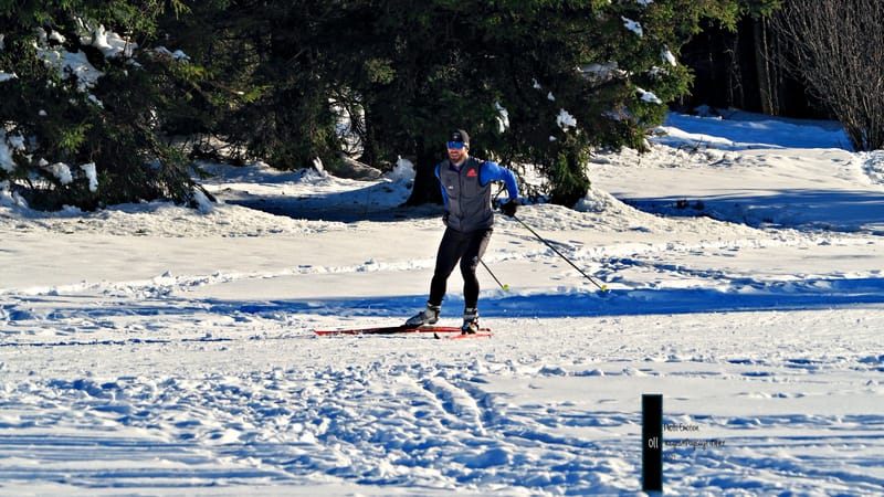 Paysages d'hiver dans les Vosges