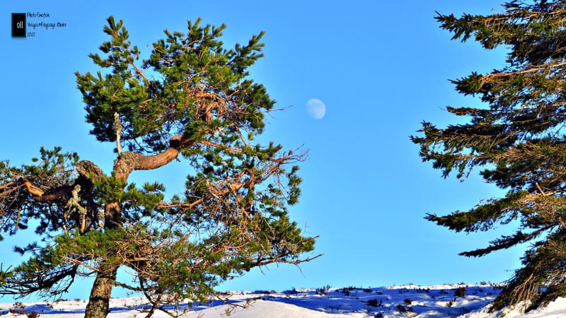Paysages d'hiver dans les Vosges