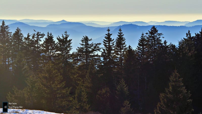 Paysages d'hiver dans les Vosges