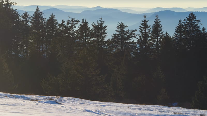 Paysages d'hiver dans les Vosges