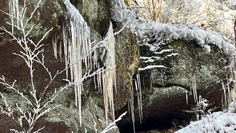 C'est l'hiver sans parfums ni chants ...