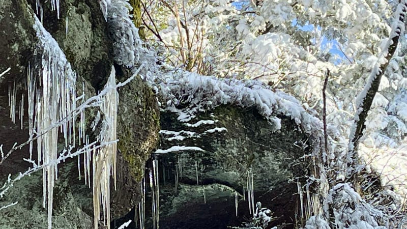C'est l'hiver sans parfums ni chants ...