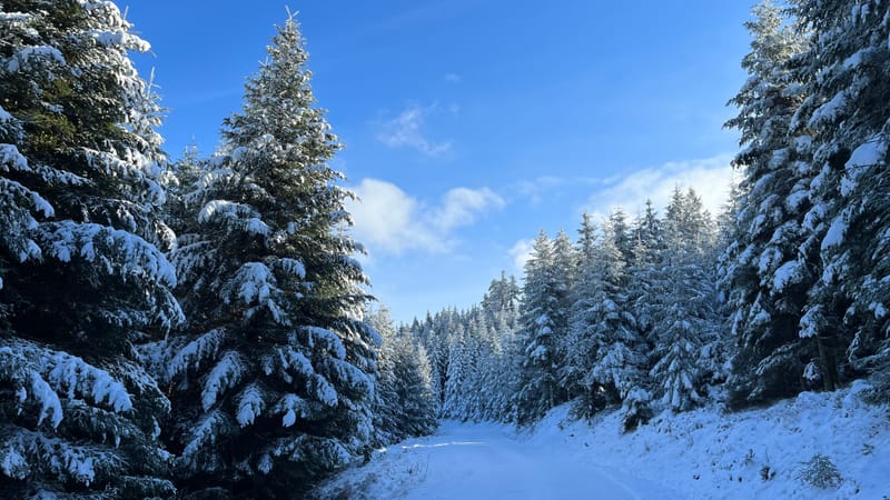 C'est l'hiver sans parfums ni chants ...