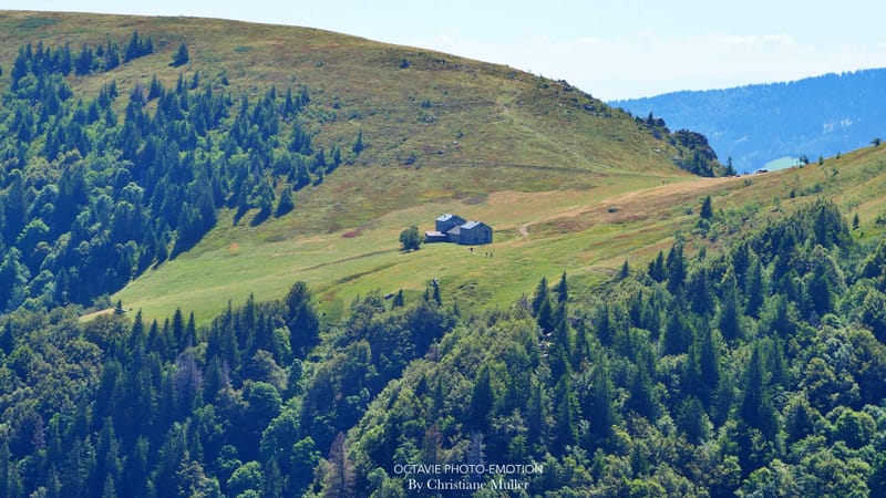 Paysages de montagne
