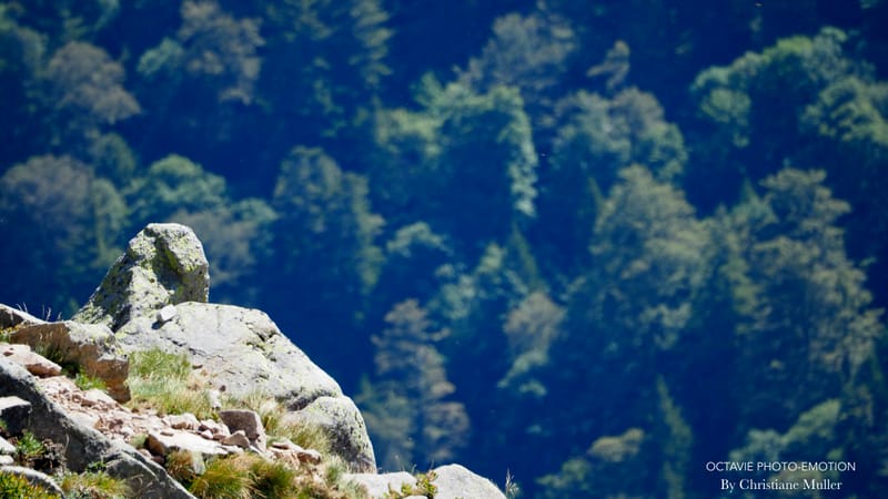 Paysages de montagne