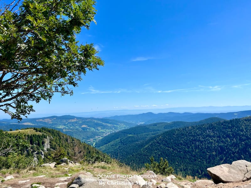 Paysages de montagne