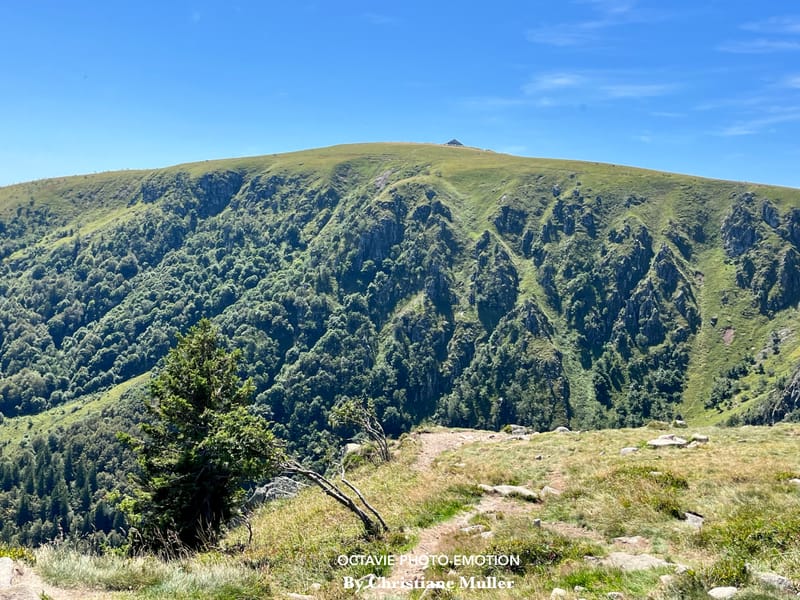 Paysages de montagne