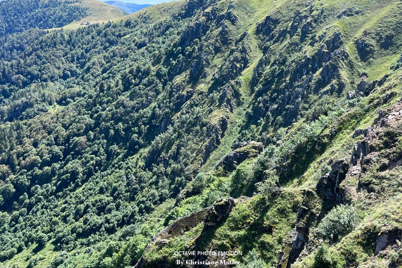 Paysages de montagne