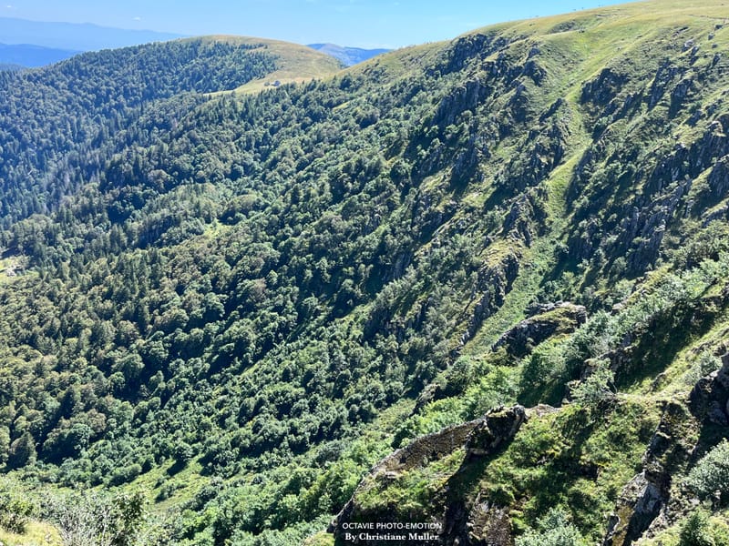 Paysages de montagne