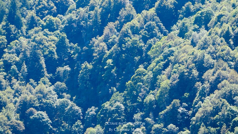 Paysages de montagne